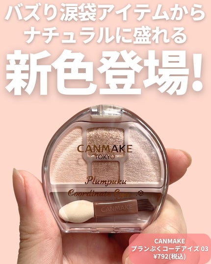 プランぷくコーデアイズ/キャンメイク/パウダーアイシャドウを使ったクチコミ(2枚目)