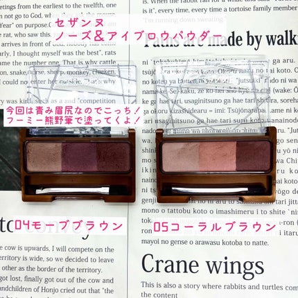 ノーズ&アイブロウパウダー/CEZANNE/パウダーアイブロウを使ったクチコミ(2枚目)