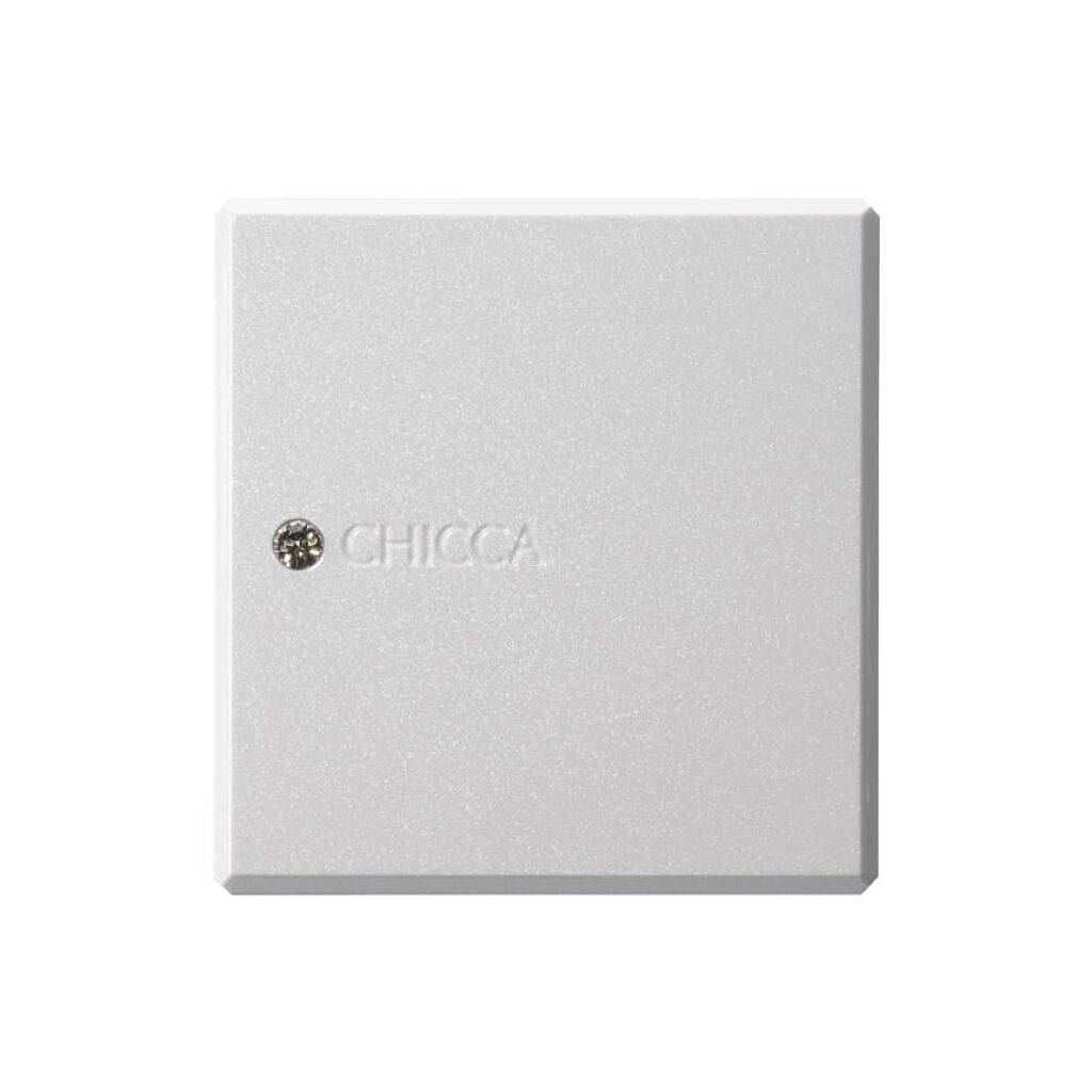 フラッシュブラッシュ ケース CHICCA