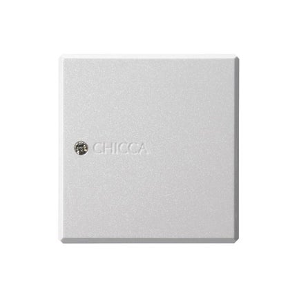 CHICCA フラッシュブラッシュ ケース