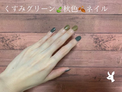 カラフルネイルズ/キャンメイク/マニキュアを使ったクチコミ(1枚目)