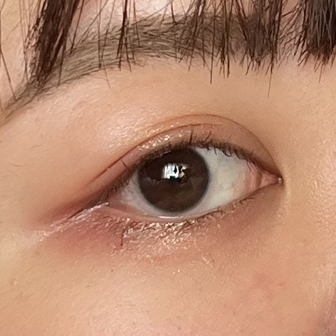 エクスプローラ12色 動物アイシャドウパレット/PERFECT DIARY/アイシャドウパレットを使ったクチコミ（2枚目）