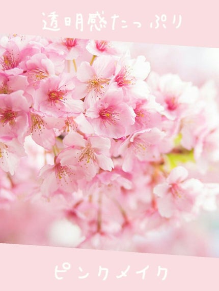 サイレントカバー コンシーラー/excel/パレットコンシーラーを使ったクチコミ(1枚目)