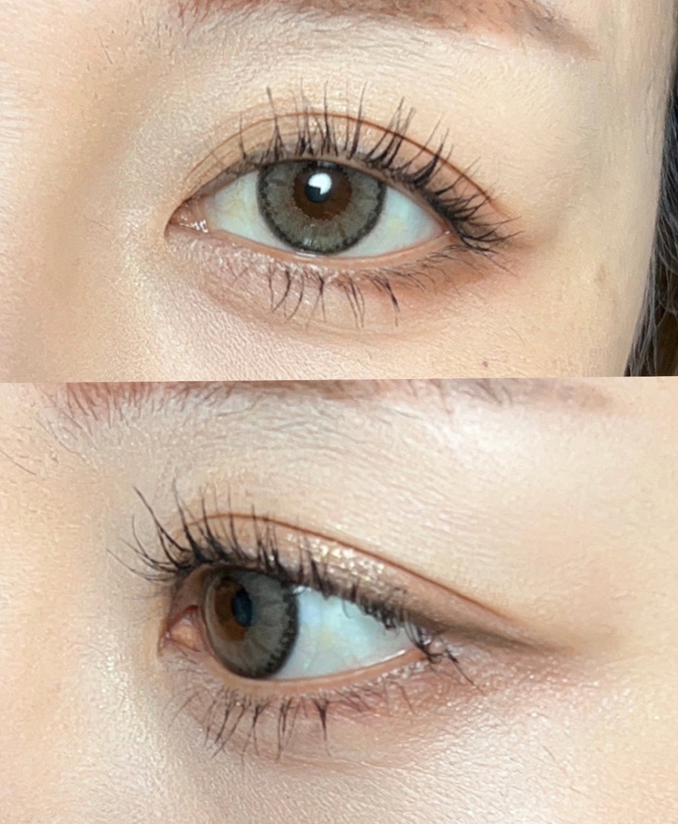 エクスプローラ12色 動物アイシャドウパレット/PERFECT DIARY/アイシャドウパレットを使ったクチコミ(6枚目)