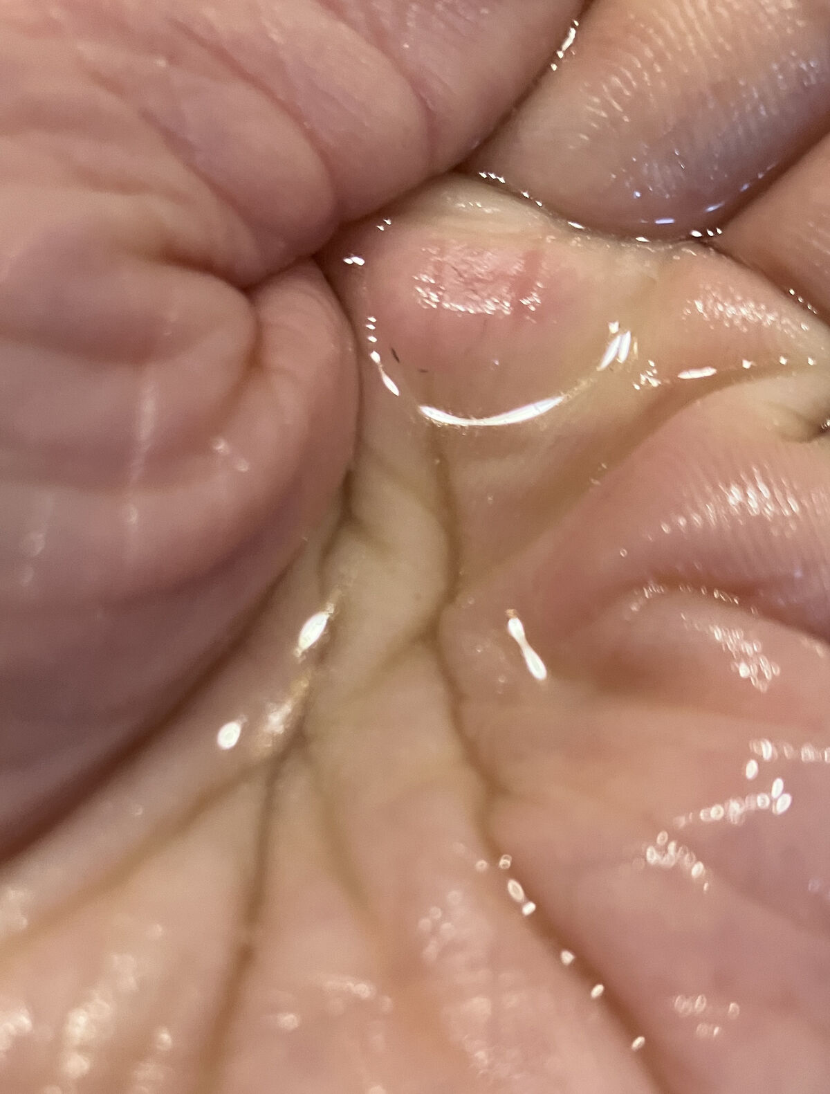 シカ-アロエフレッシュスキン/FlEEF/化粧水を使ったクチコミ（3枚目）