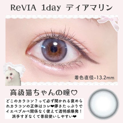 ReVIA 1day/ReVIA/ワンデー(1DAY)カラコンを使ったクチコミ(2枚目)
