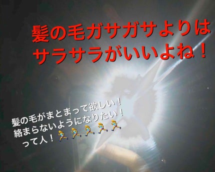 大島椿(ツバキ油)/大島椿/ヘアオイルを使ったクチコミ(1枚目)