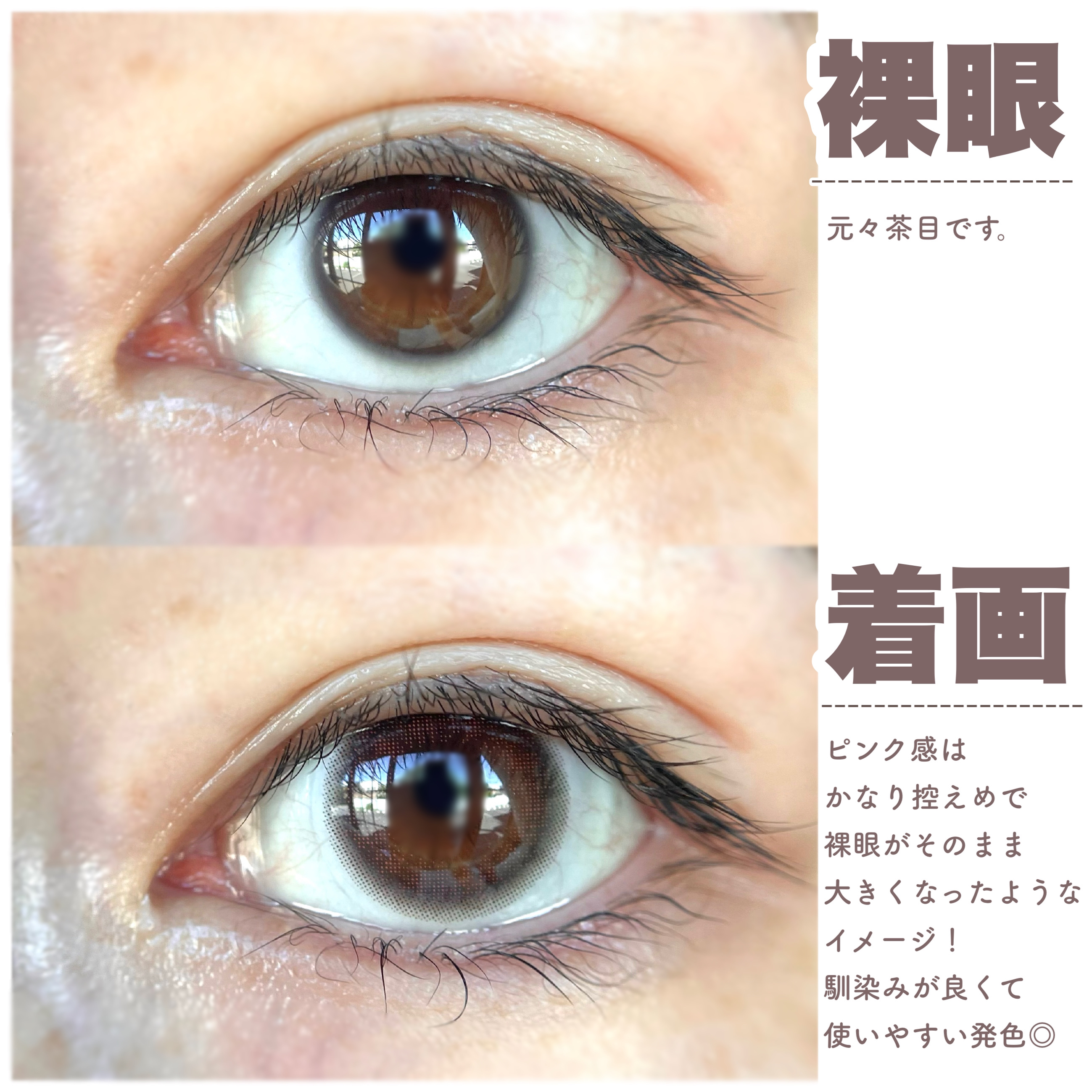 ramurie ラムリエ コメットピンク/ramurie/ワンデー（１DAY）カラコンを使ったクチコミ（3枚目）