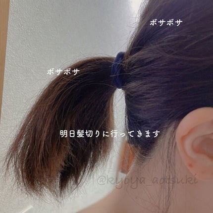 DAISO リングゴムのクチコミ「\安い!いっぱい!/
DAISO
リングゴム
ネイビー
太
6個もあって100円👏
最近.....」(2枚目)