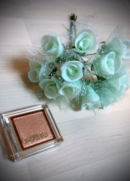 アイプランナー/excel/単色アイシャドウを使ったクチコミ(1枚目)