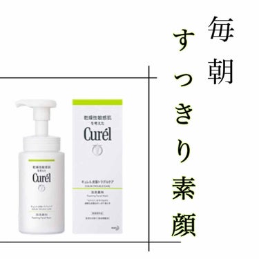 皮脂トラブルケア 泡洗顔料 150ml/キュレル/泡洗顔を使ったクチコミ（1枚目）