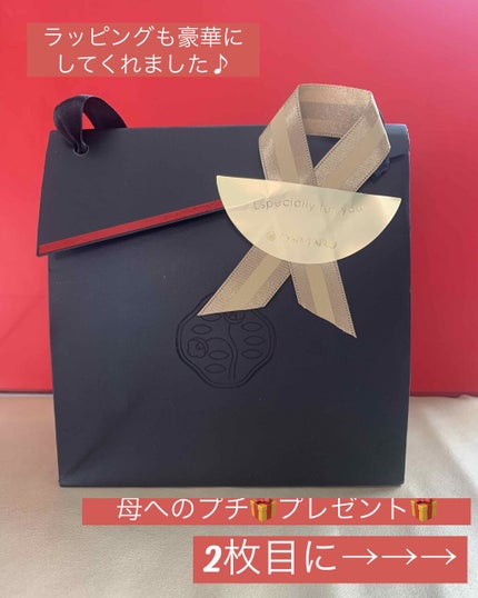 アイラッシュカーラー/SHISEIDO/ビューラーを使ったクチコミ(1枚目)