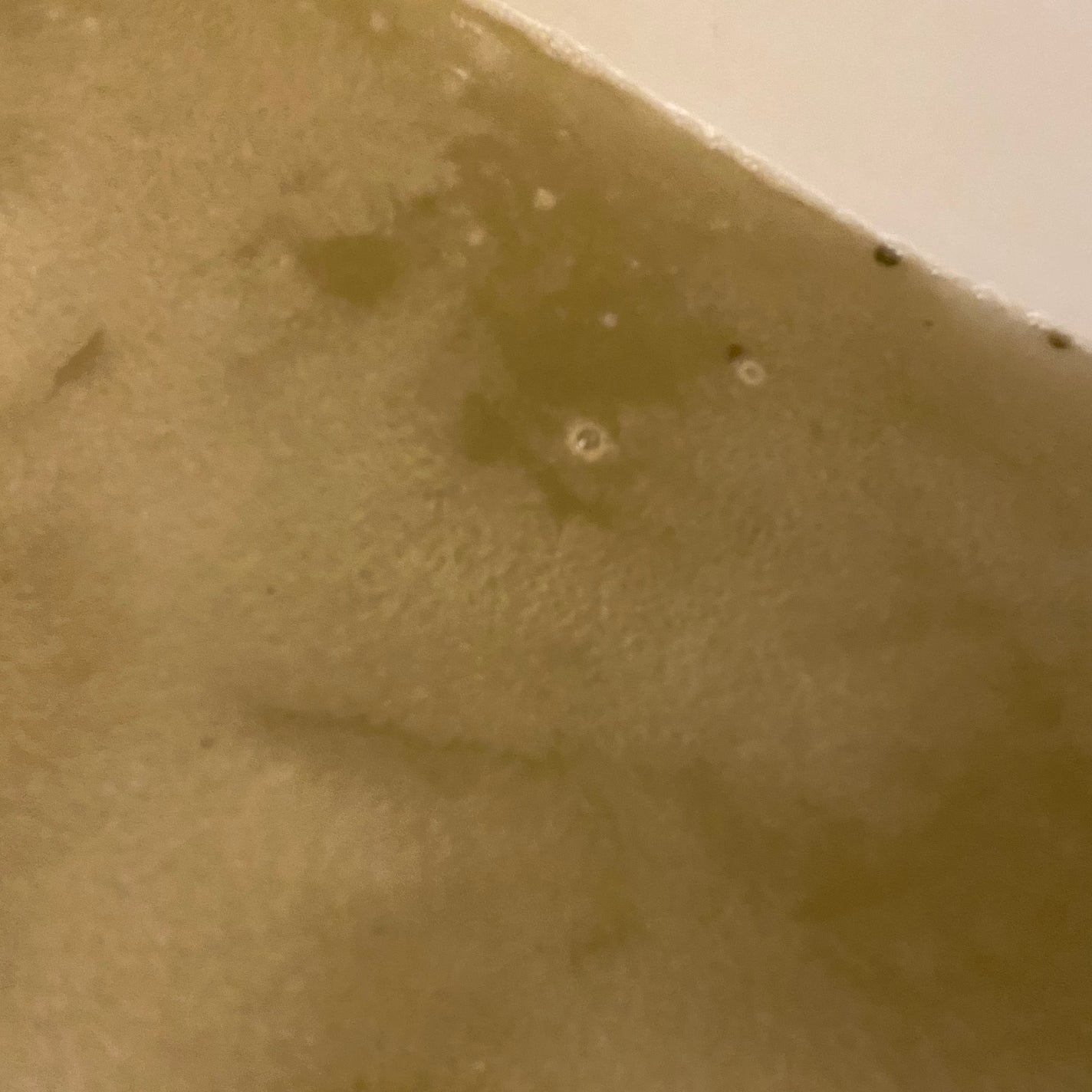 マリンアルゲ/タルゴ/入浴剤を使ったクチコミ(5枚目)