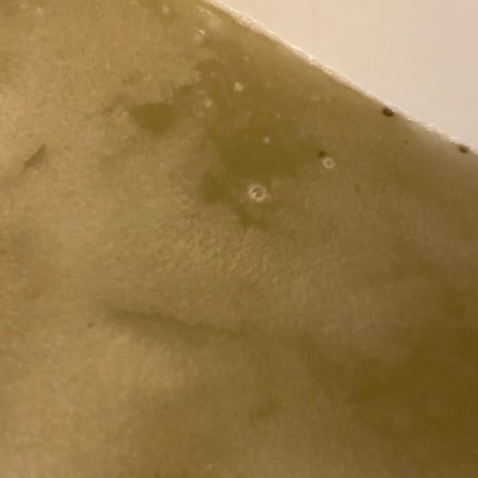 マリンアルゲ/タルゴ/入浴剤を使ったクチコミ(5枚目)