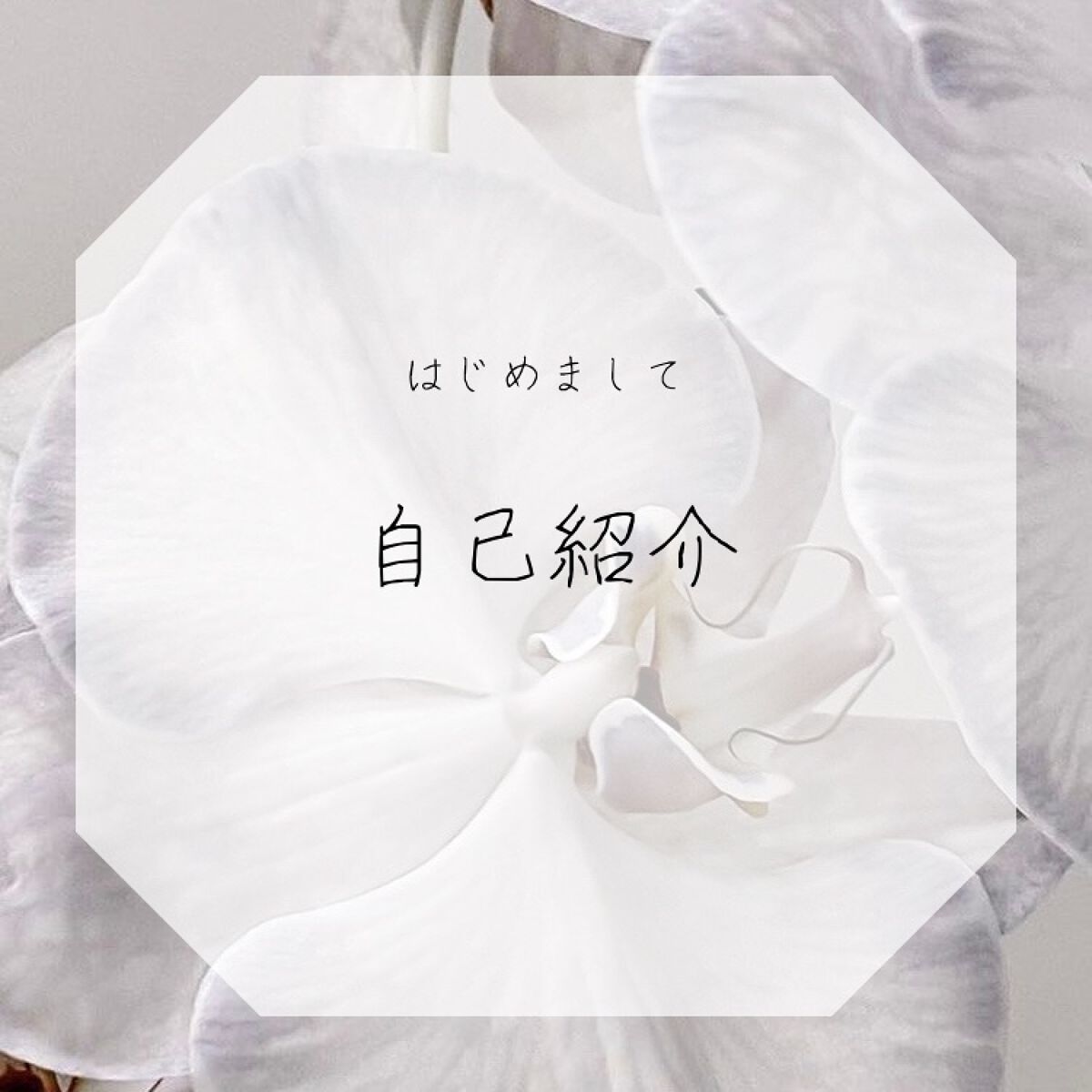 non.non on LIPS 「\ みなさんこんにちは /はじめまして、今日から投稿していく"..」(1枚目)