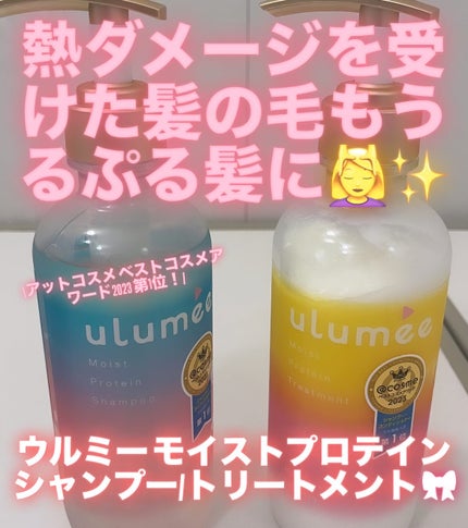 モイストプロテインシャンプー/トリートメント/ulumee/市販シャンプーを使ったクチコミ(1枚目)