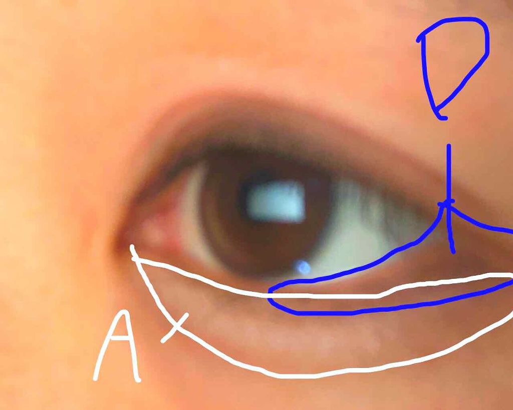 パーフェクトマルチアイズ/キャンメイク/アイシャドウパレットを使ったクチコミ（3枚目）