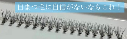 クイックエクステンション/D-UP/つけまつげを使ったクチコミ(1枚目)