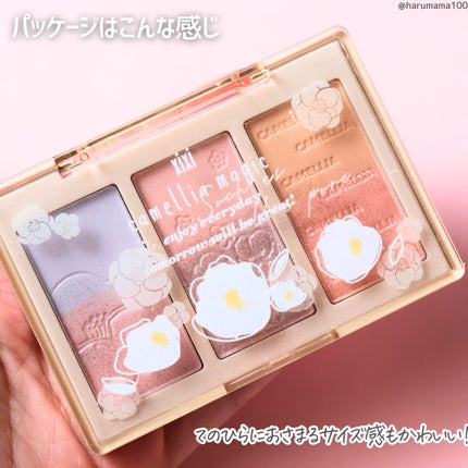 3in1 グラデーション チーク/xixi/パウダーチークを使ったクチコミ(6枚目)