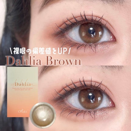 ダリアブラウンマンスリー (DAHLIA BROWN monthly)/OLOLA/1ヶ月(1MONTH)カラコンを使ったクチコミ(1枚目)