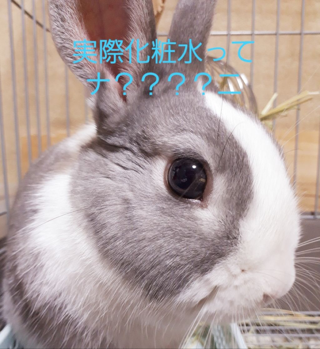 アロエ99％ スージングジェル/HOLIKA HOLIKA/ボディローションを使ったクチコミ（1枚目）