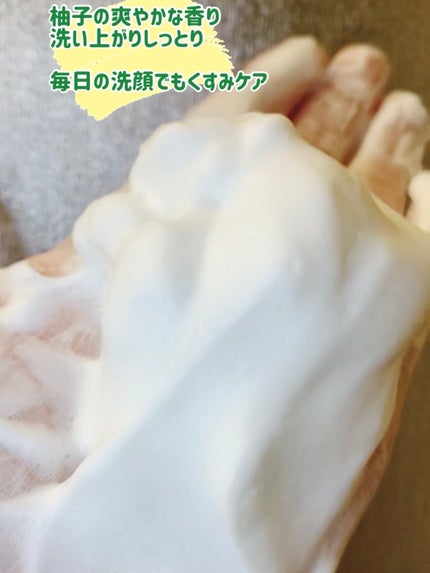 シカバイタル フォームクレンザー/VT/洗顔フォームを使ったクチコミ(8枚目)