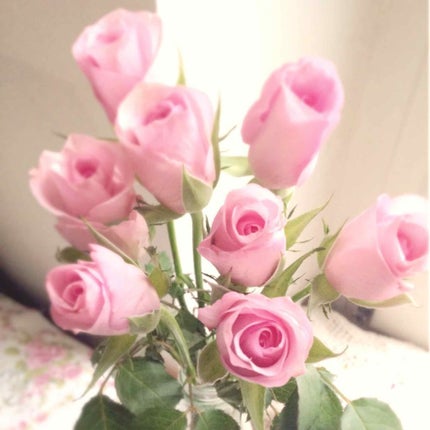 りな on LIPS 「久しぶりの投稿になってしまいました…!最近はインスタのほうが開..」(1枚目)