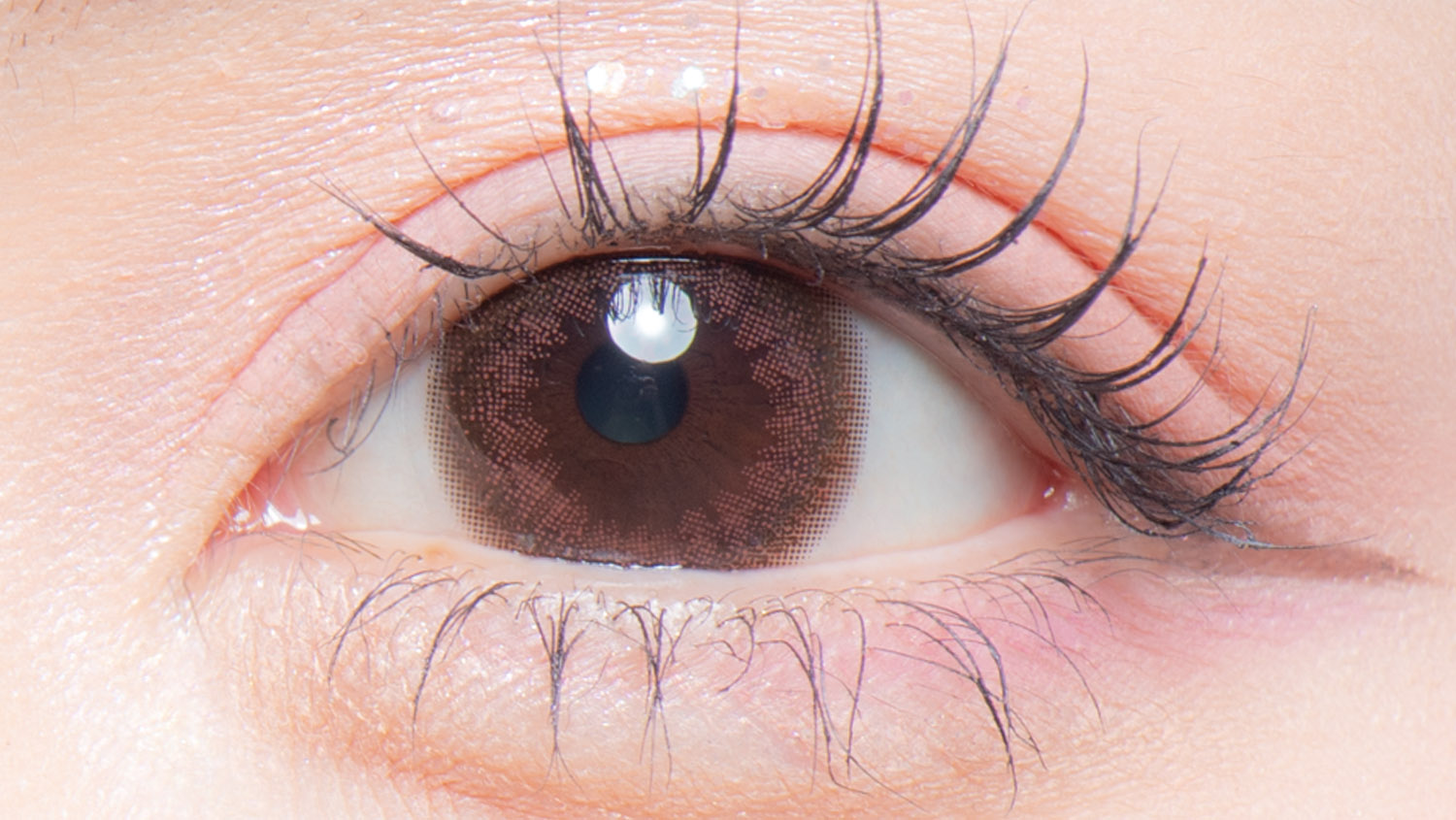 colors 1day エアリーブラウン