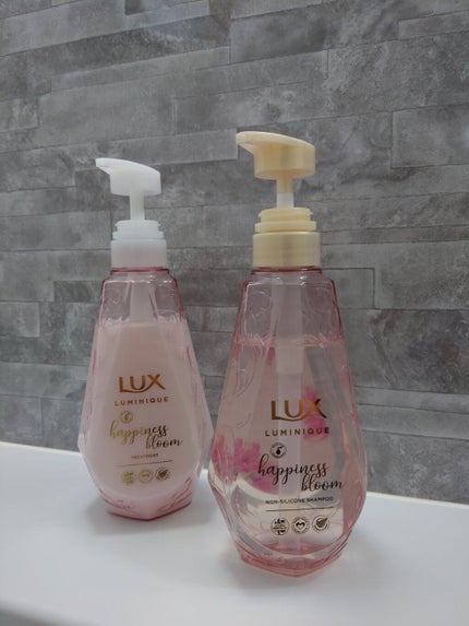 ã«ãããŒã¯ ãããã¹ãã«ãŒã ã·ã£ã³ããŒïŒããªãŒãã¡ã³ã/LUX/åžè²©ã·ã£ã³ããŒã䜿ã£ãã¯ãã³ãïŒ1æç®ïŒ