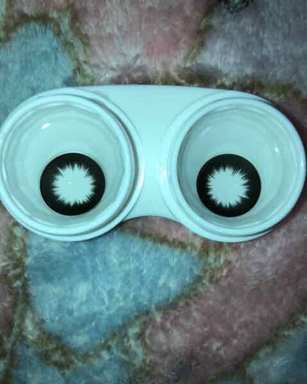 I-LENS(アイレンズ)/I-LENS/カラーコンタクトレンズを使ったクチコミ(1枚目)