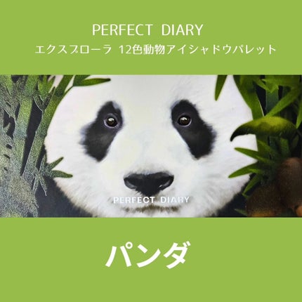 ãšã¯ã¹ãããŒã©12è² åç©ã¢ã€ã·ã£ããŠãã¬ãã/PERFECT DIARY/ã¢ã€ã·ã£ããŠãã¬ããã䜿ã£ãã¯ãã³ãïŒ2æç®ïŒ