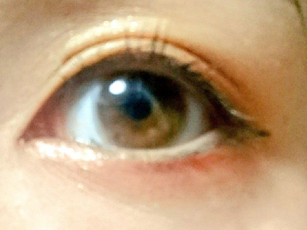 novo   アイシャドウパレット/NOVO/アイシャドウパレットを使ったクチコミ（1枚目）