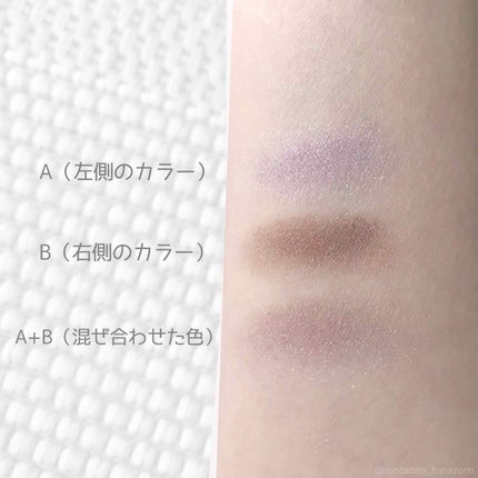 ダブルヴェール アイズ/Visée/アイシャドウパレットを使ったクチコミ(2枚目)