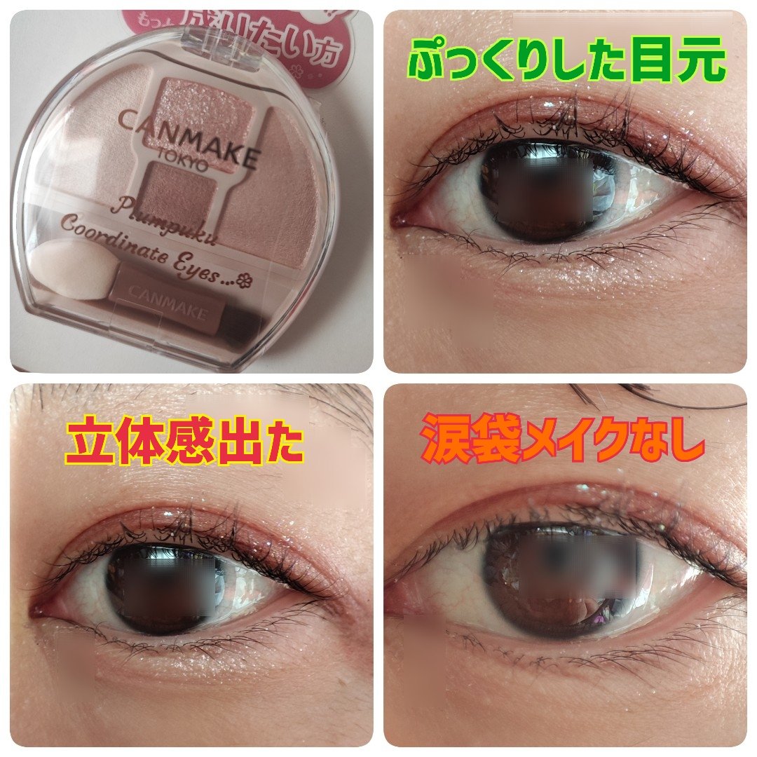 プランぷくコーデアイズNeo/キャンメイク/アイシャドウを使ったクチコミ（1枚目）