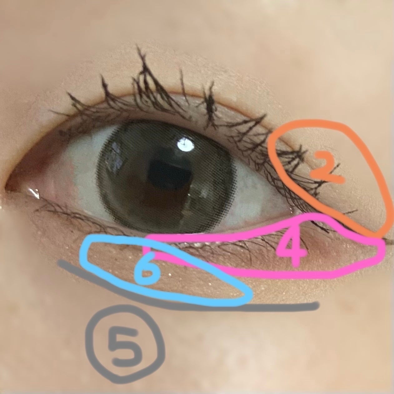 ショコラスウィート アイズ ソフトマット/リンメル ロンドン/アイシャドウパレットを使ったクチコミ(3枚目)