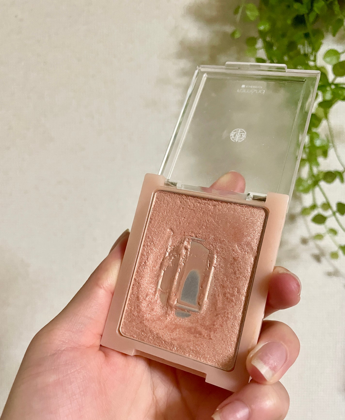 ヴェールライター/rom&nd/パウダーハイライトを使ったクチコミ(2枚目)