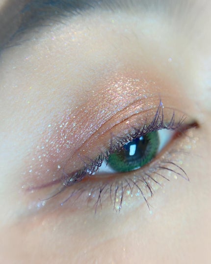 エクスプローラ12色 動物アイシャドウパレット/PERFECT DIARY/アイシャドウパレットを使ったクチコミ(3枚目)