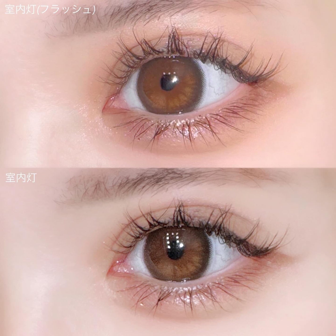 TeAmo 1DAY/TeAmo/ワンデー(1DAY)カラコンを使ったクチコミ(4枚目)