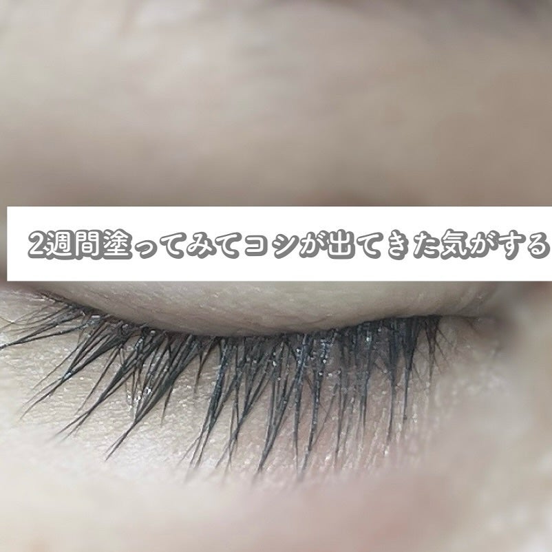 ロングアクティブアイラッシュセラム/COSNORI/まつげ美容液を使ったクチコミ(4枚目)