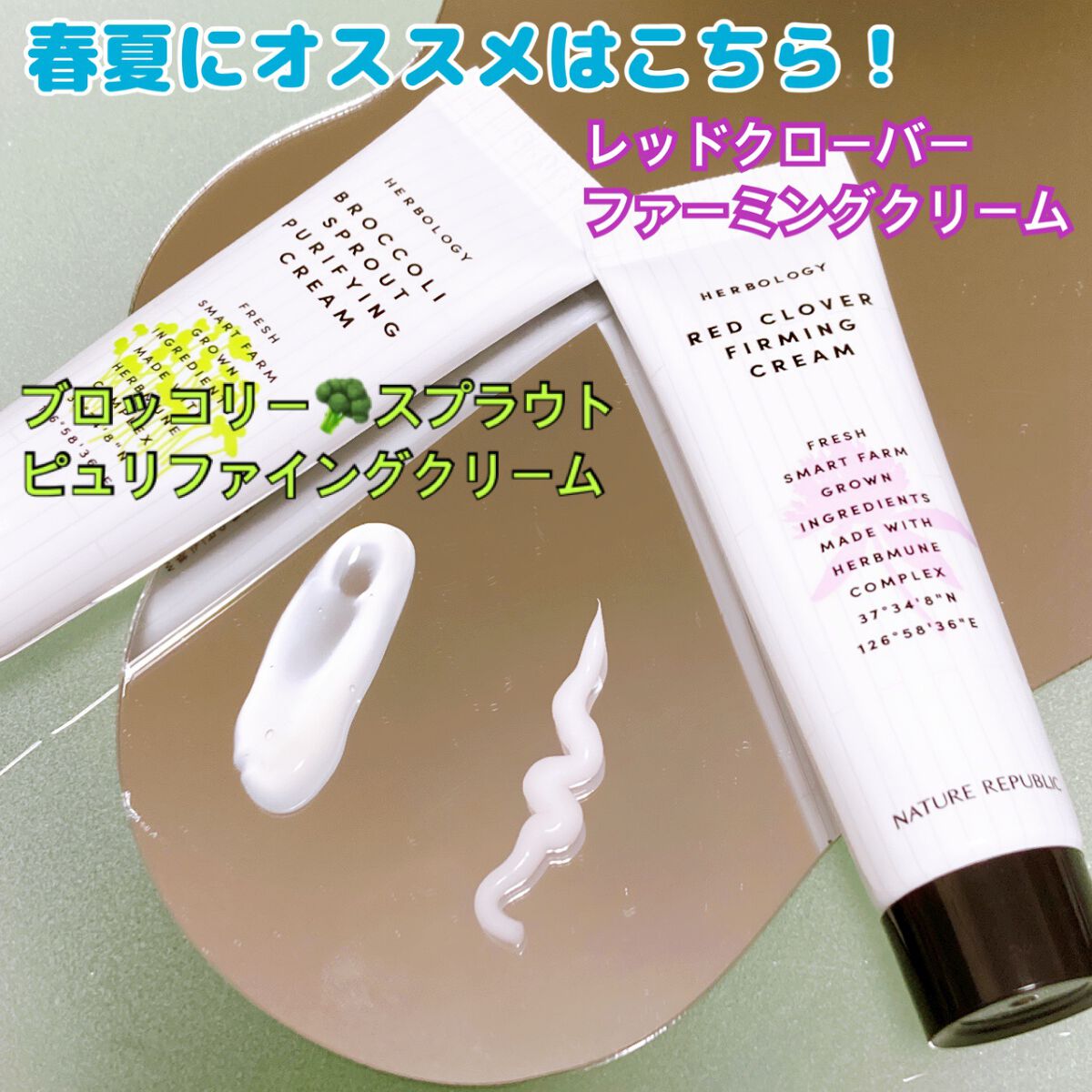 モロヘイヤディープモイスチャークリーム/ネイチャーリパブリック/フェイスクリームを使ったクチコミ(4枚目)