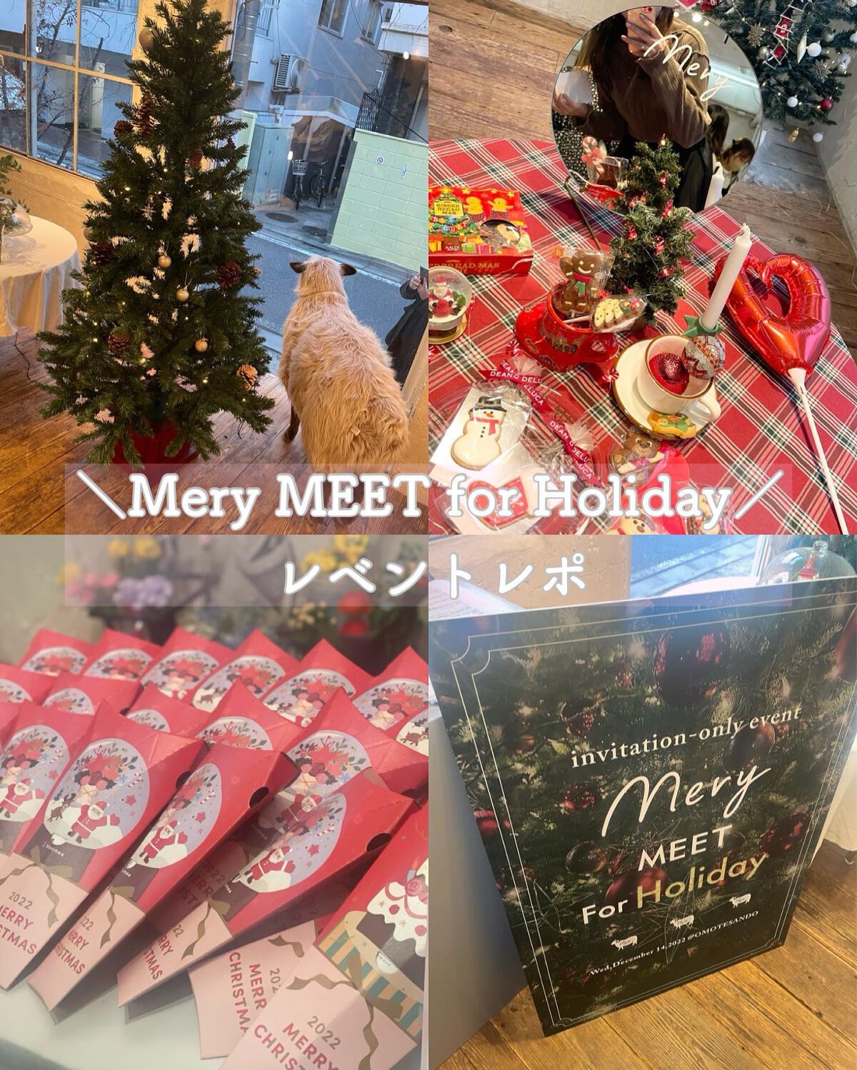 Melty flower lip tint/haomii/口紅を使ったクチコミ(1枚目)