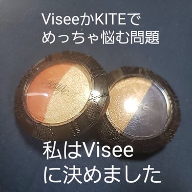 ダブルヴェール アイズ/Visée/アイシャドウパレットを使ったクチコミ（1枚目）