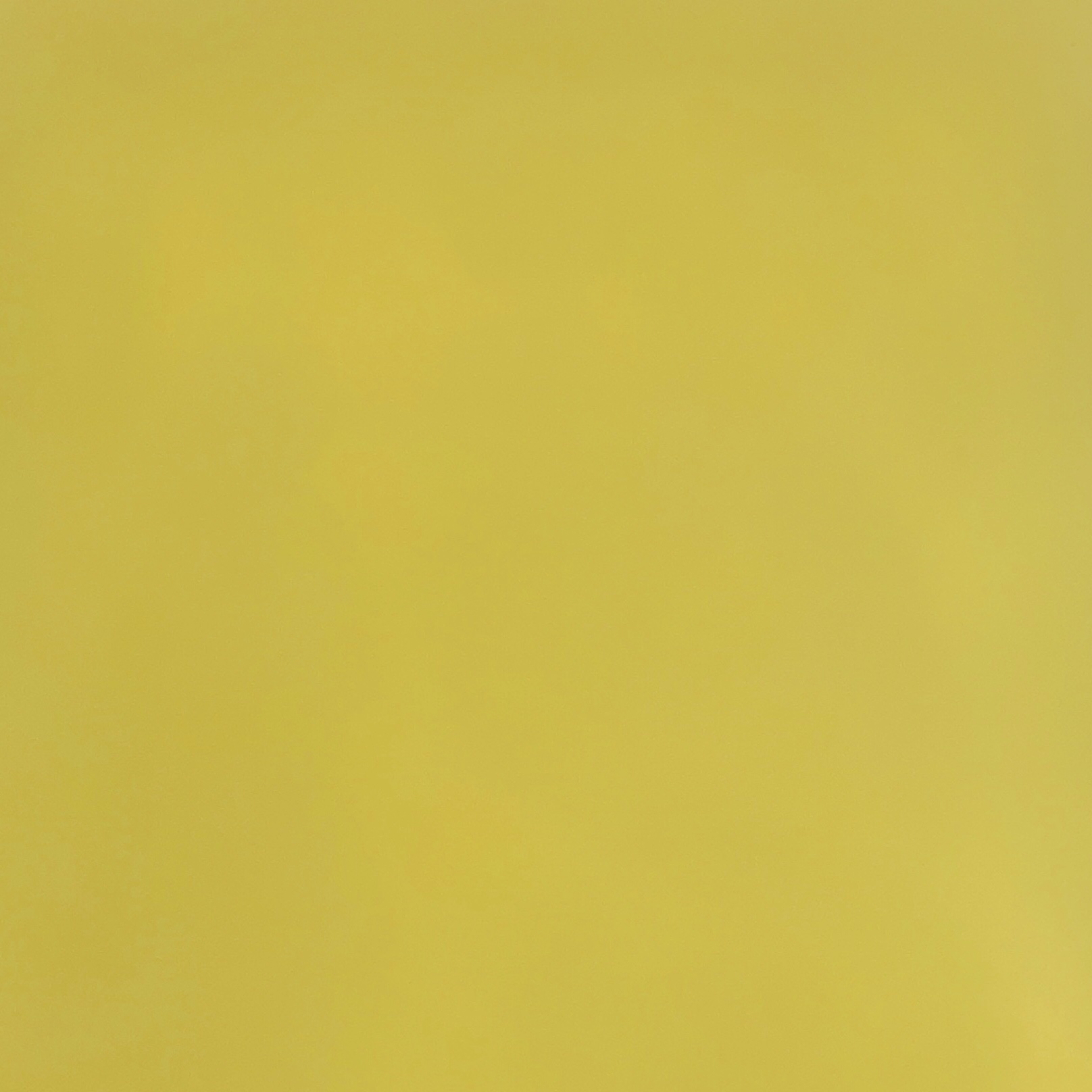 スパークリング フルーツメドレー パウダーバス/charley/炭酸系入浴剤を使ったクチコミ（2枚目）