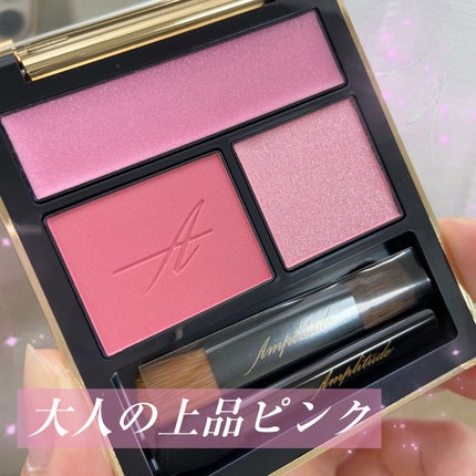 コンスピキュアス アイズ/Amplitude/アイシャドウパレットを使ったクチコミ(1枚目)