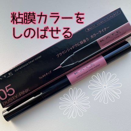 コンシャスライナーカラー/KATE/リキッドアイライナーを使ったクチコミ(1枚目)