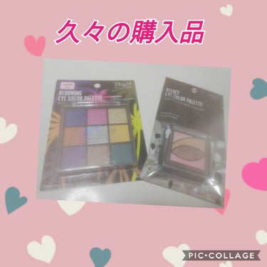 UR GLAM　BLOOMING EYE COLOR PALETTE/U R GLAM/アイシャドウパレットを使ったクチコミ（1枚目）