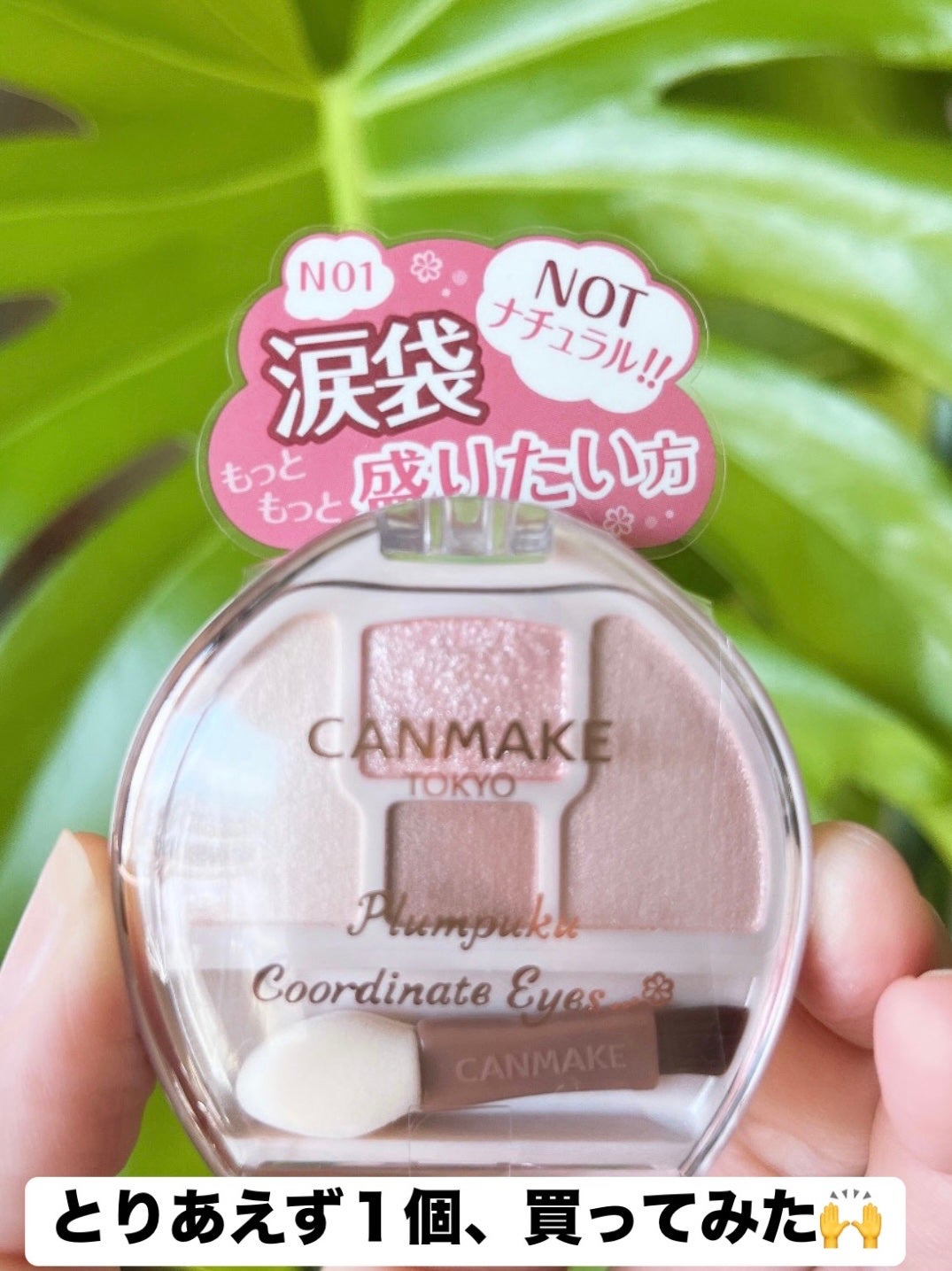 プランぷくコーデアイズNeo/キャンメイク/アイシャドウを使ったクチコミ(4枚目)