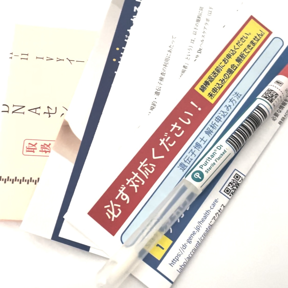 ダイエット遺伝子検査キット【遺伝子博士】肥満遺伝子検査/DNA解析検査キット/遺伝子博士/その他を使ったクチコミ（3枚目）