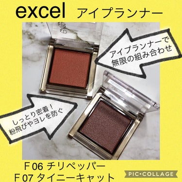 アイプランナー F07 タイニーキャット/excel/パウダーアイシャドウを使ったクチコミ（1枚目）