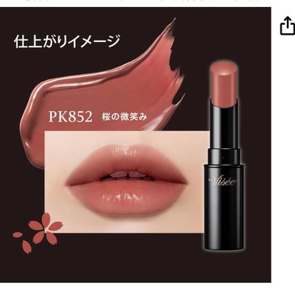 ネンマクフェイク ルージュ/Visée/口紅を使ったクチコミ(1枚目)